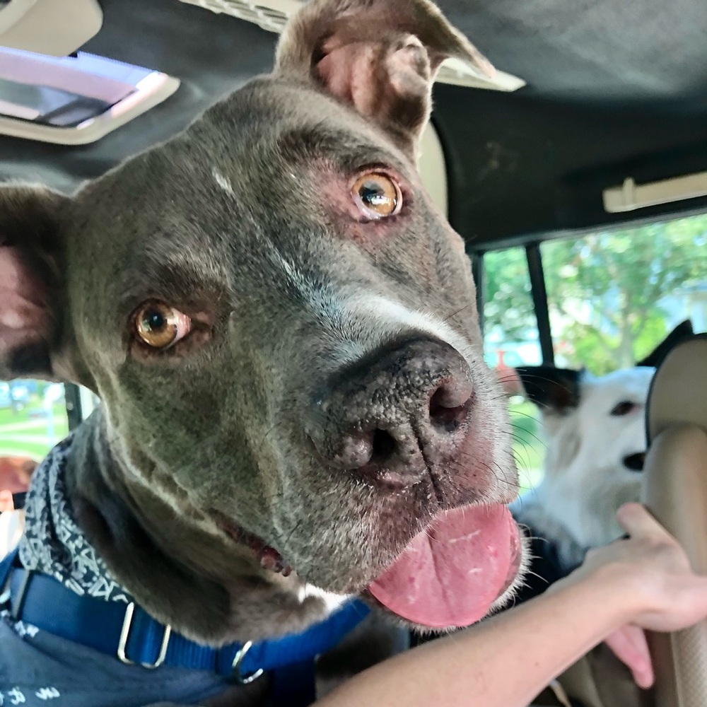 Meet your Posher, Kellie